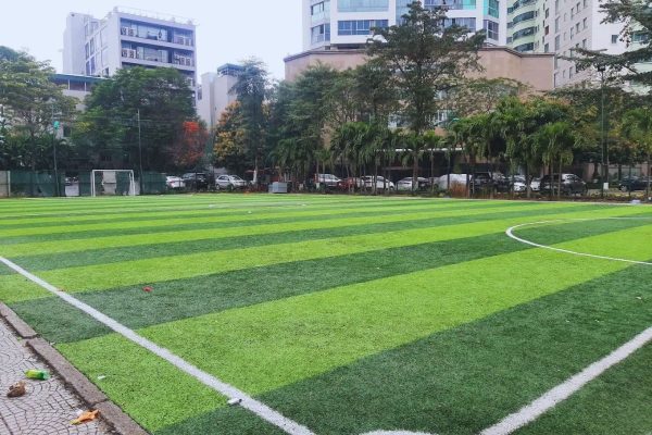 Sân Viglacera Hoàng Hoa Thám